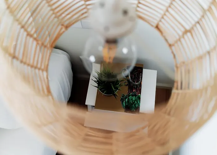 Sal Da Terra 纳扎雷